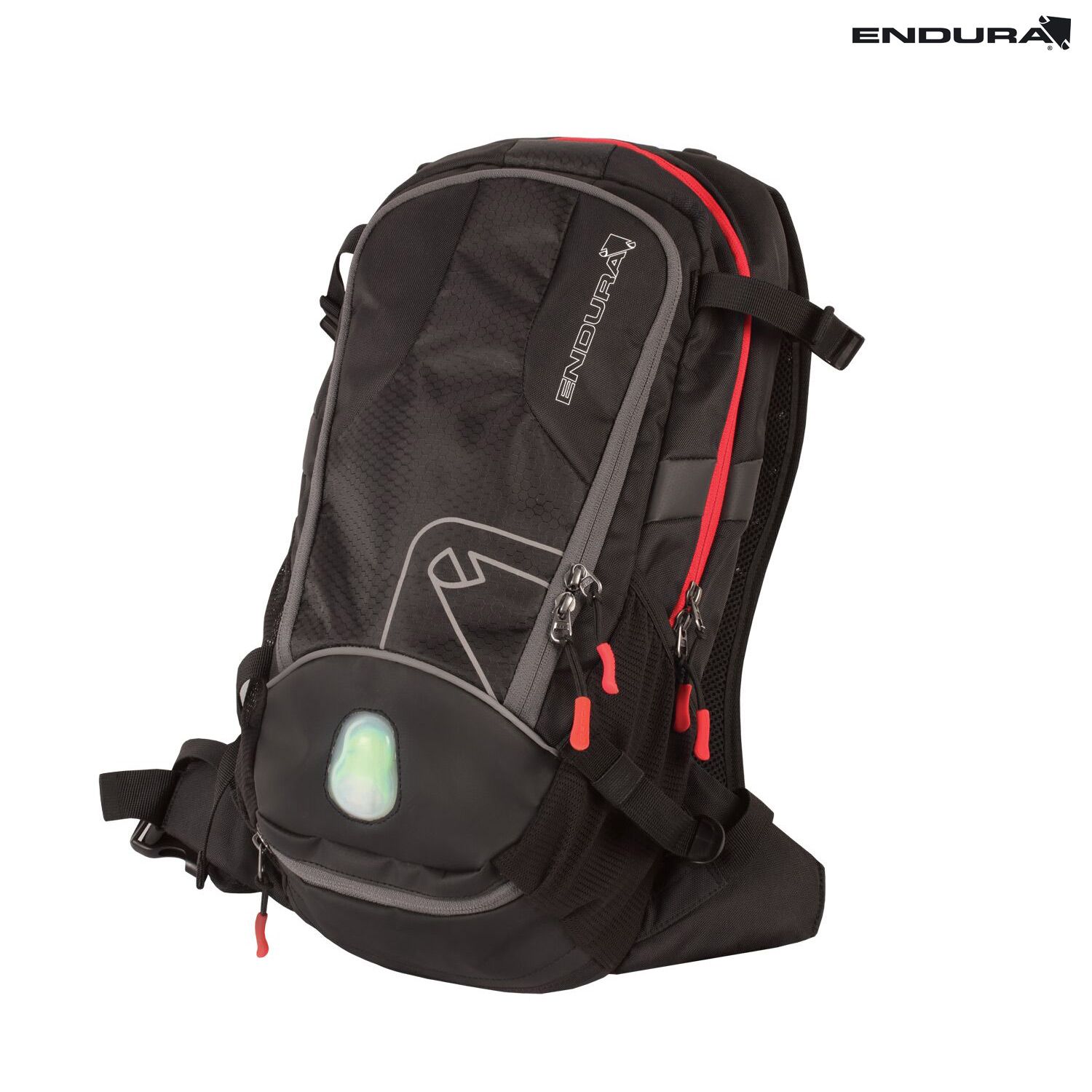 Endura Backpack