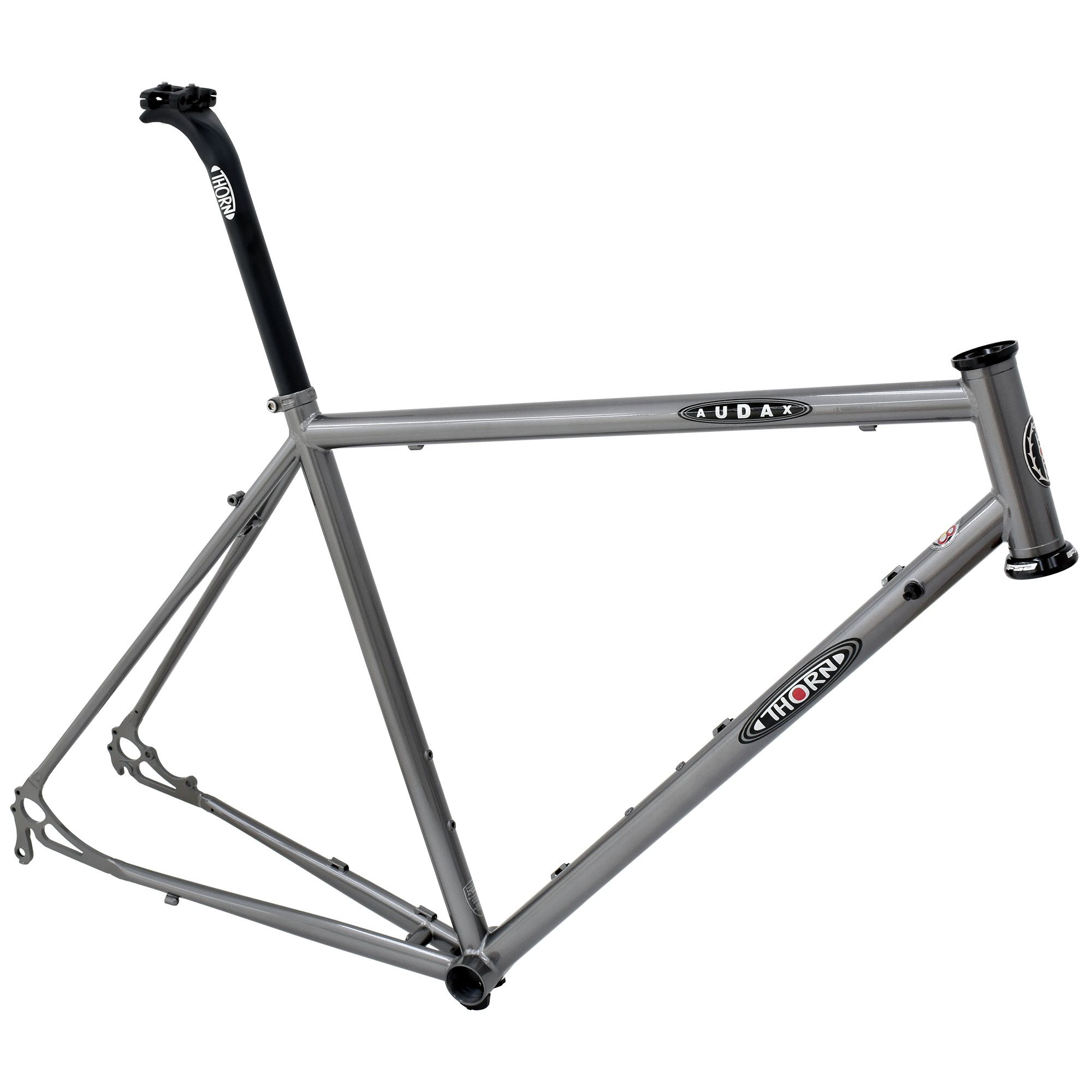 thorn audax