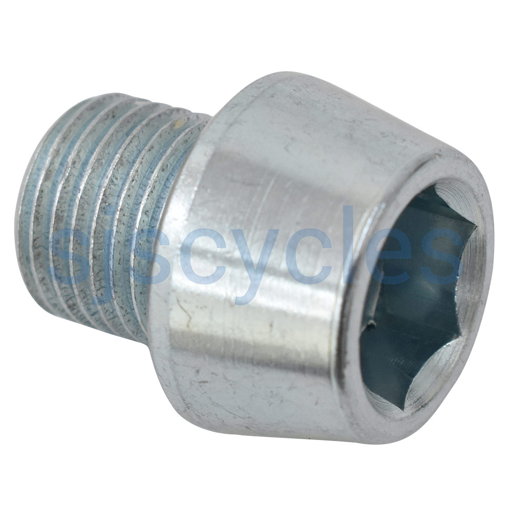 Gates Carbon Drive Snubber Screw M10 x 1 x 12